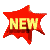 newCLR.gif (4909 bytes)